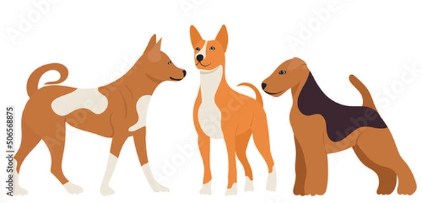 Fototapeta dogs flat design, isolated, vector