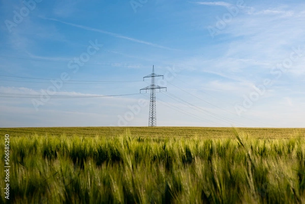 Obraz Weizenfeld mit Stromleitung