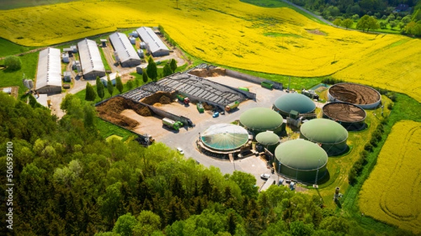 Fototapeta Biogas plant and farm in blooming rapeseed fields. Renewable energy from biomass. Aerial view to modern agriculture in Czech Republic and European Union.	