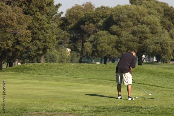 Obraz Golfer on green