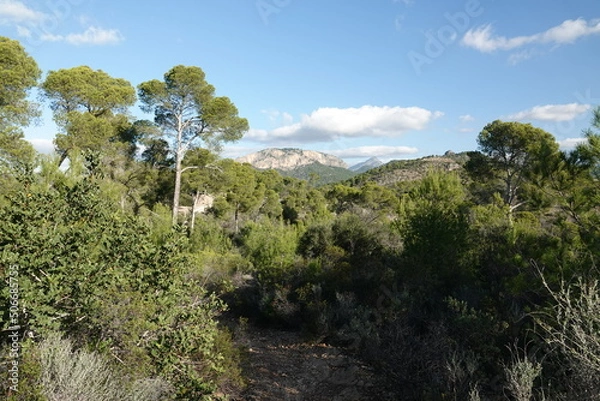 Obraz cap andrixol, mallorca