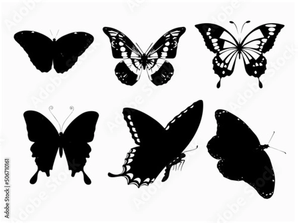 Obraz Butterfly Vector Graphics Silhouette Image. A Black And White Vector Butterfly Royalty for Free EPS