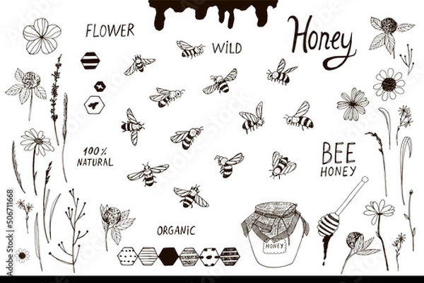 Fototapeta bees and flowers vector line illustrations set