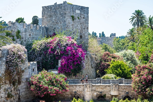 Obraz Rhodes city, Greece, stone wall with the tower of the medieval Rhodes fortress, in the foreground trees with pink, purple and white flowers, green bushes, in the summer at daytime.