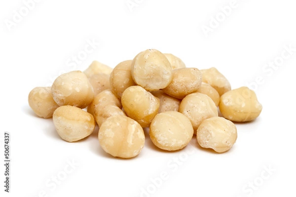 Obraz orzechy makadamia