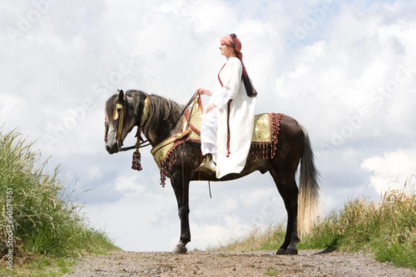 Fototapeta Berber Pferd