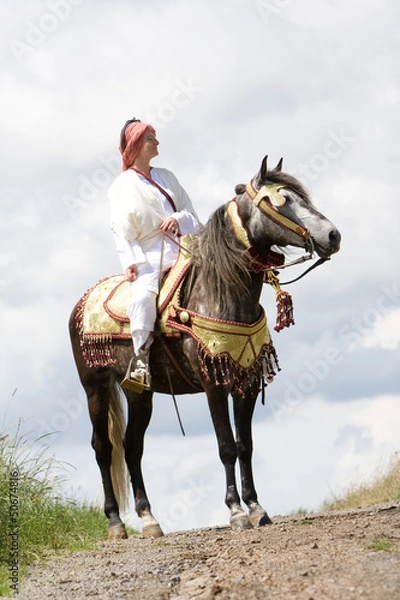 Fototapeta Berber Pferd