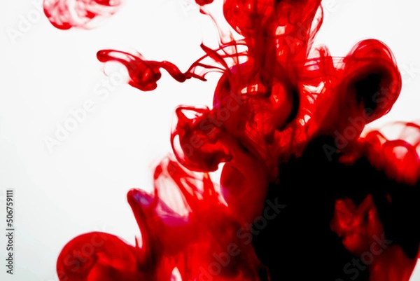 Fototapeta selective soft focus red liquid like blood drop in to clear water