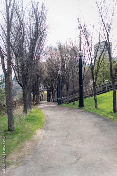 Obraz alley in the park