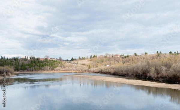 Fototapeta river in the forest