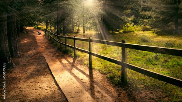 Obraz Welcoming path