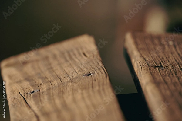 Fototapeta Holzbank