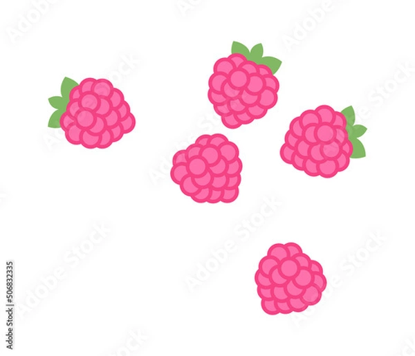 Fototapeta Raspberry berries icon. Vector illustration