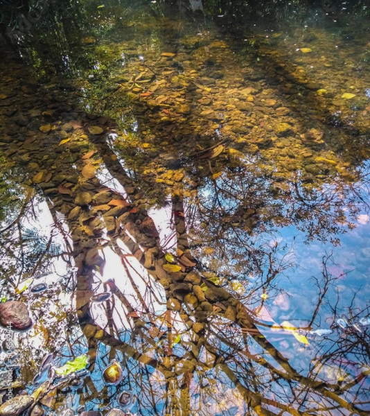 Fototapeta Reflection