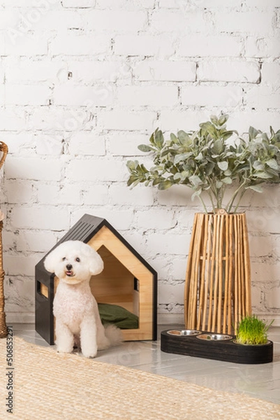 Obraz Cute bichon frize puppy with a stylish pet house in the room interior