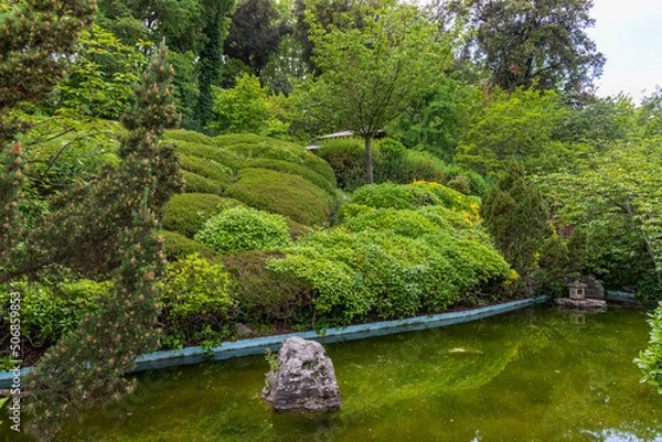 Obraz Area with Japanese plants at the botanical garden of Rome, Italy.
