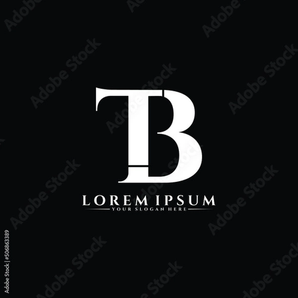 Obraz Letter TB luxury logo design vector