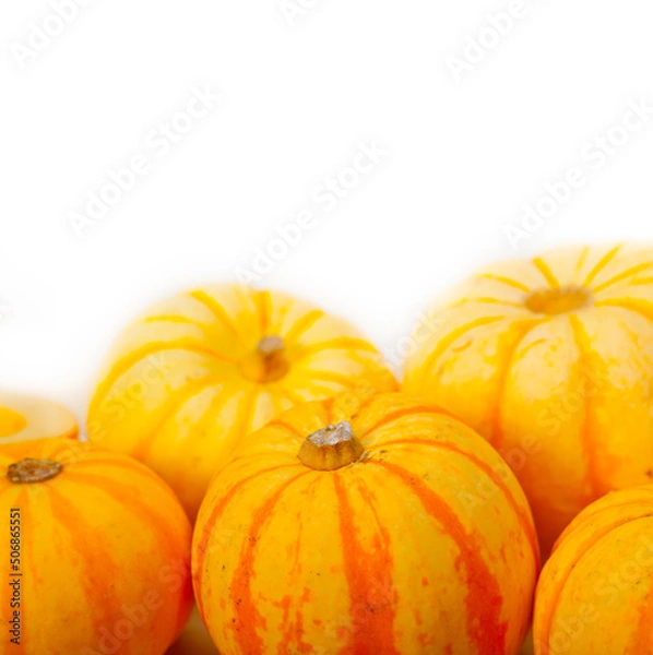 Obraz fresh yellow pumpkin