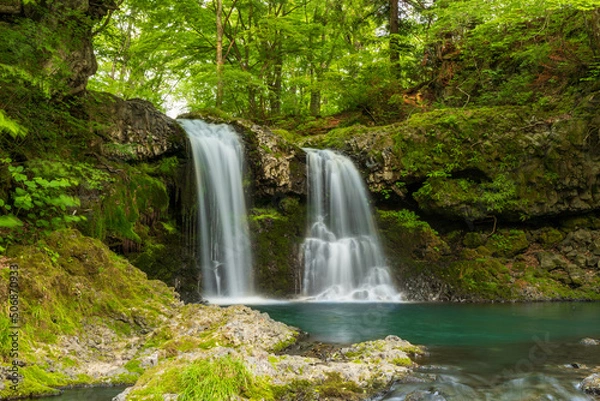 Fototapeta 富士吉田市から新緑の鐘山の滝