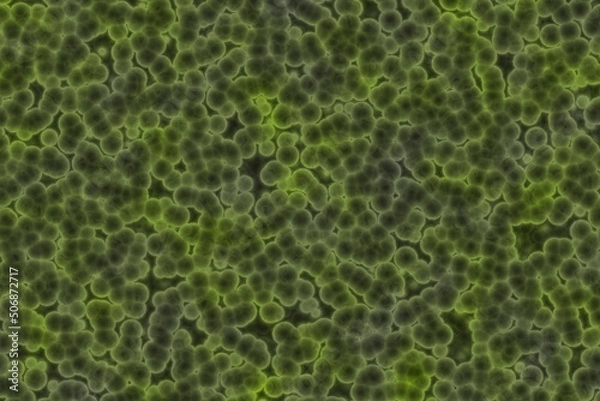 Fototapeta artistic cute lime a lot of organic viruses digital drawn texture illustration