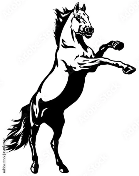 Obraz hodowla ogiera