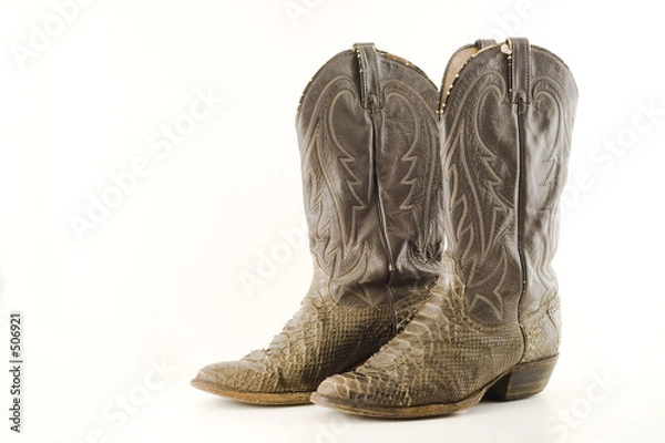Fototapeta old snake skin boots