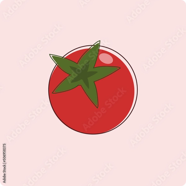 Fototapeta Vector illustration of red tomato with background