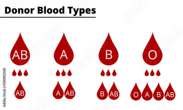 Obraz Donor blood types compatibility diagram. ABO blood group system. Vector illustration.