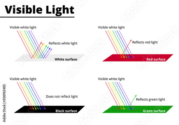 Fototapeta Visible colors from lightwaves on surfaces. Light waves are reflected or absorbed on different surfaces. Vector illustration.