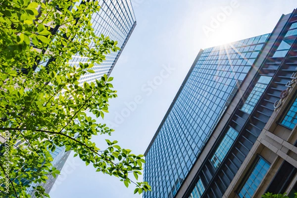 Fototapeta 【都市景観】日本橋のビル群