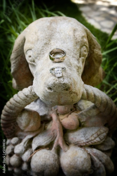 Fototapeta wedding rings