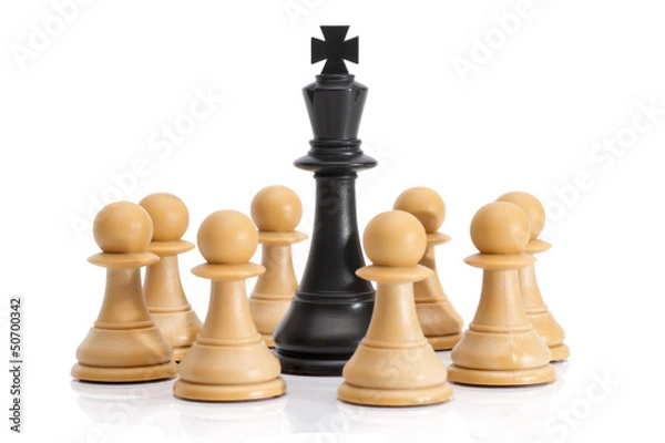 Obraz Chessmen Isolated on White
