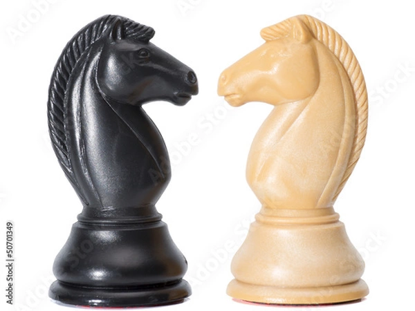 Obraz Chessmen Isolated on White