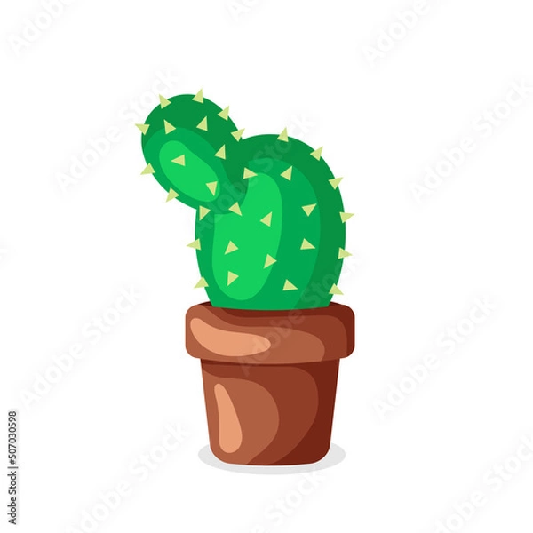 Fototapeta green cactus in a clay pot