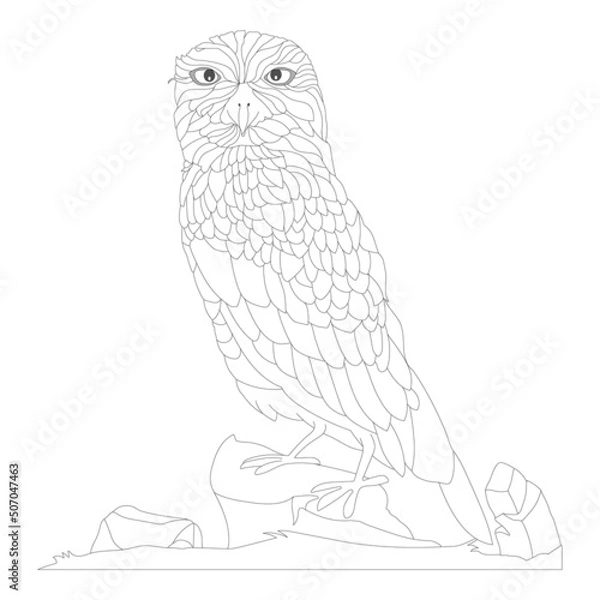 Obraz hand-drawn owl for coloring book