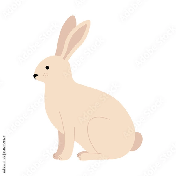 Obraz The hare is sitting. Cute eared rabbit from the side, in profile. Vector illustration in a flat style.
