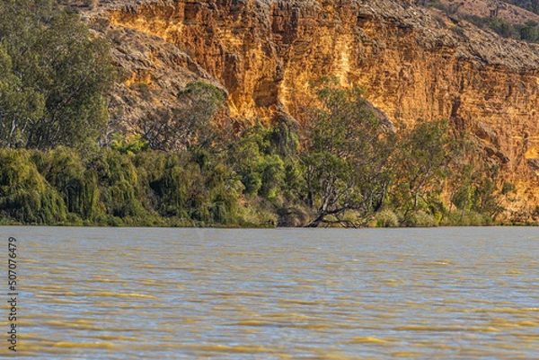 Fototapeta The landscape whilst houseboat cruising from Mannum on The Murray River in South Australia
