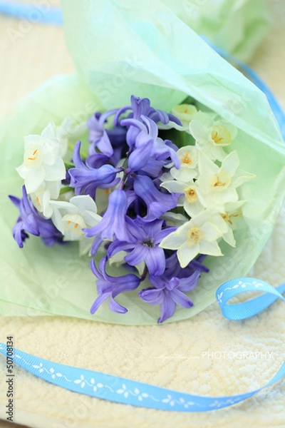 Fototapeta ヒヤシンスの花束