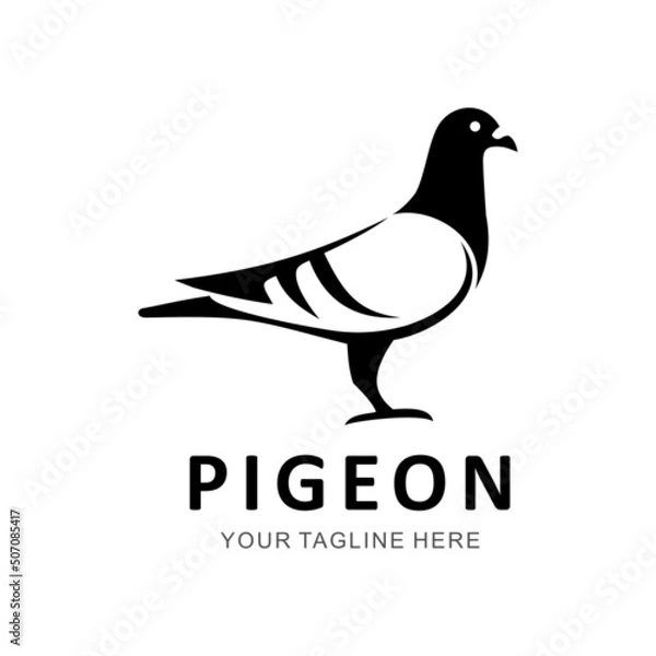 Obraz pigeon logo