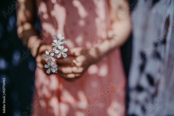 Obraz Frühsommerblüte