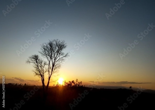 Obraz sunset in the forest