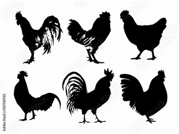 Obraz Chicken Scalable Vector Graphics Rooster Clip Art Silhouette Images, Stock Photos for Free EPS