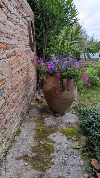 Obraz flowers in a garden