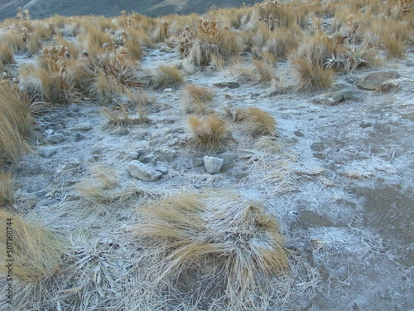 Obraz landscape with snow