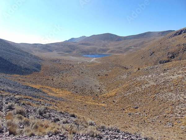 Obraz landscape in park