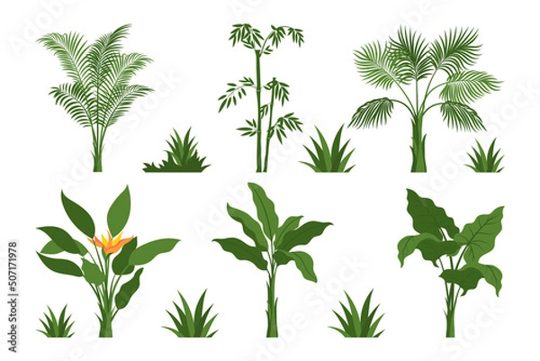 Obraz Tropical floral element collections with simple flat style