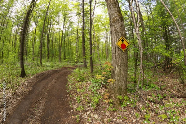 Fototapeta A stop sign Posted on Tree on ATV and dirtbike Multi-Use or Multipurpose Trail in Simcoe County