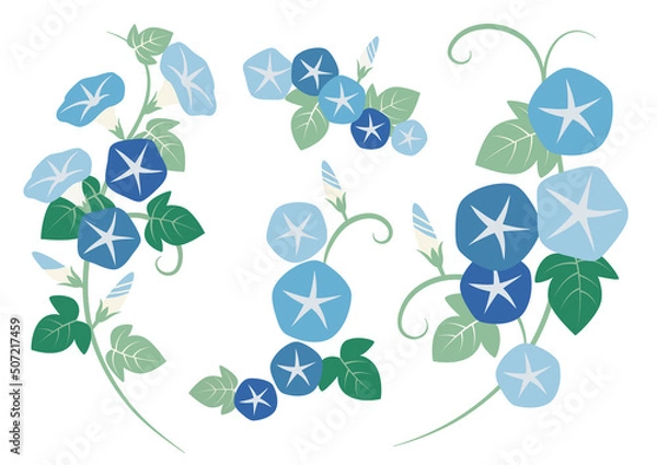 Fototapeta 朝顔のイラスト