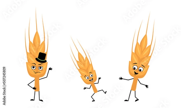 Fototapeta Family of ear of wheat character with happy emotions and poses, smile face, eyes, arms and legs. Mom is happy, dad is wearing hat and child with dancing pose. Vector flat illustration
