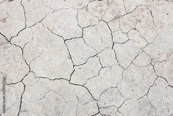 Fototapeta Texture of light cracked earth, cracks in the ground, top view